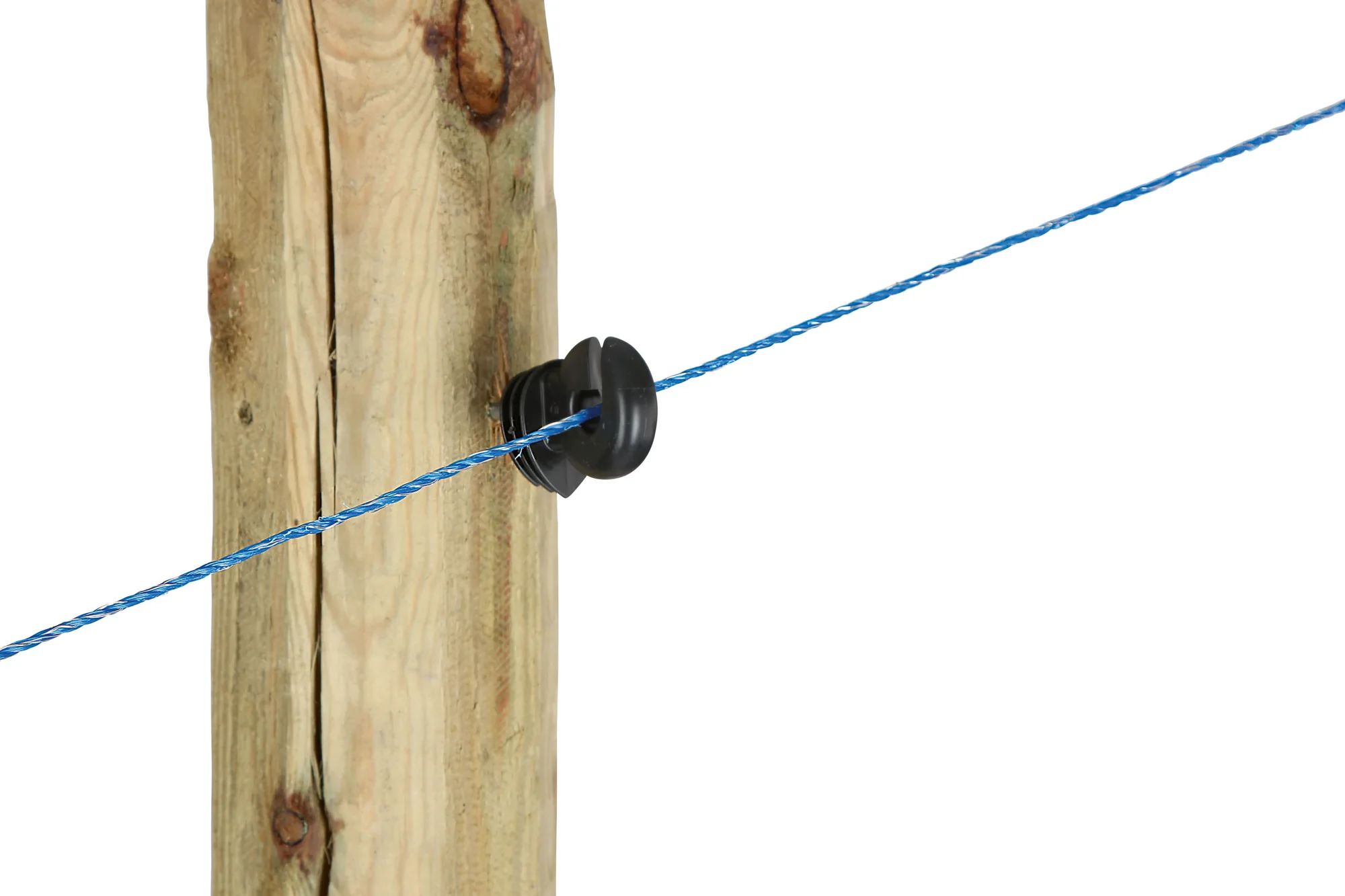 Kerbl WildHog Litze blau durch schwarzen Ringisolator am Holzpfosten