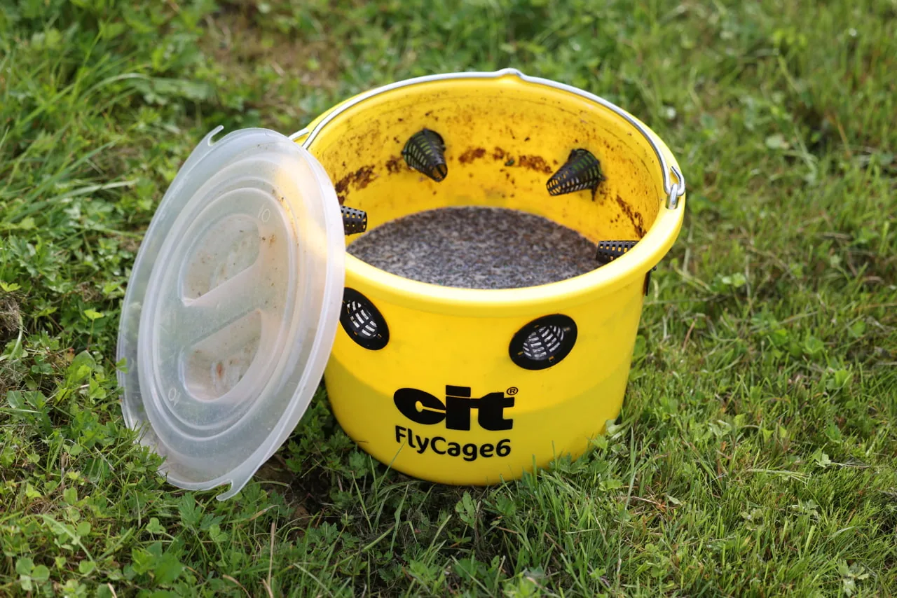 Geöffnete cit FlyCage6 Fliegenfalle mit gefangenen Fliegen, Deckel daneben