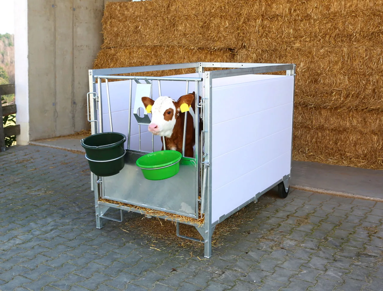Kerbl Stall- und Baueimer Olivgrün 12 Liter 29881 mit Kalb in einer Kälberbox