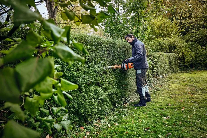 Mann schneidet mit der STIHL HSA 100 Akku-Heckenschere eine Hecke