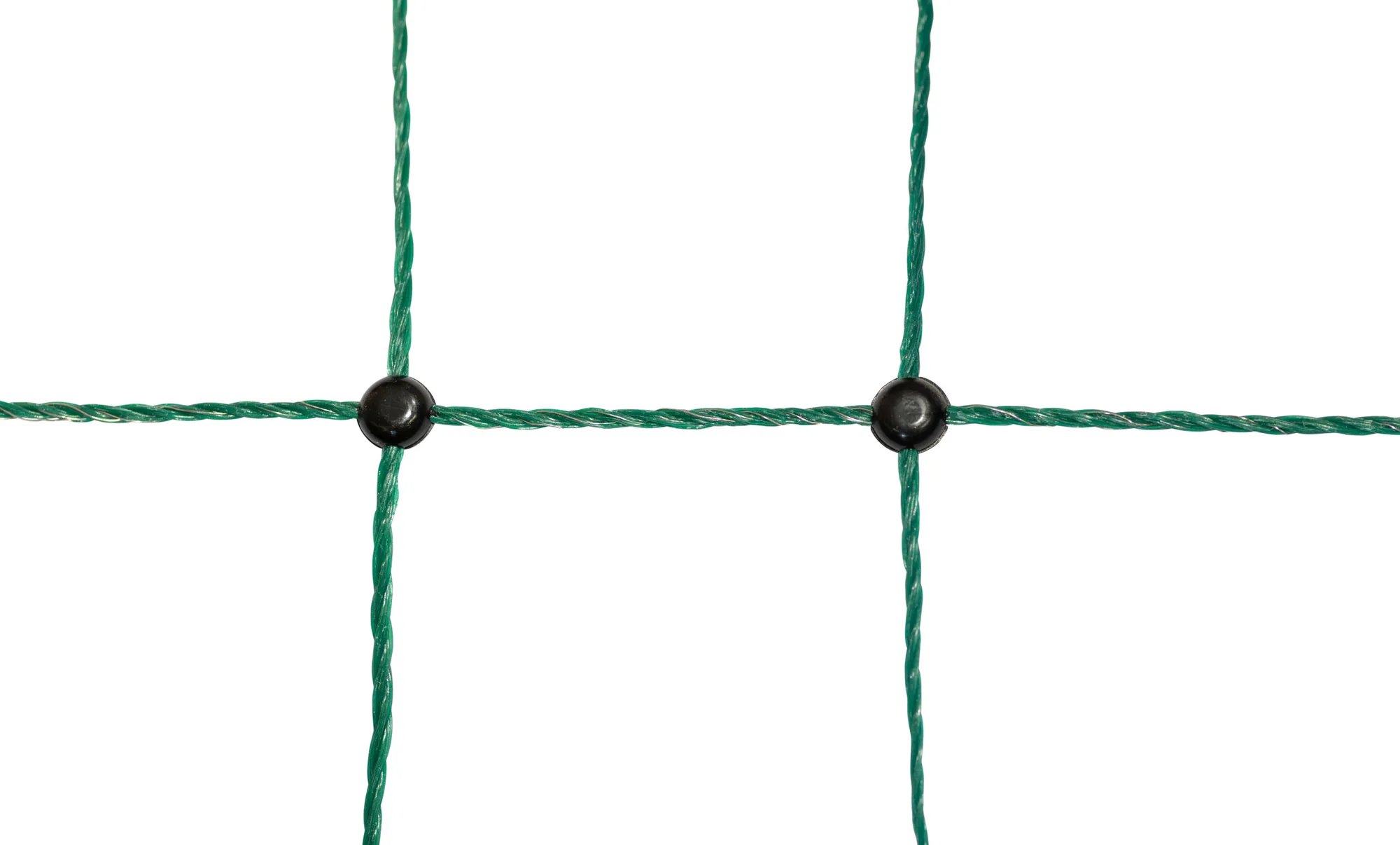 Grüner Netzknoten des Geflügelnetzes