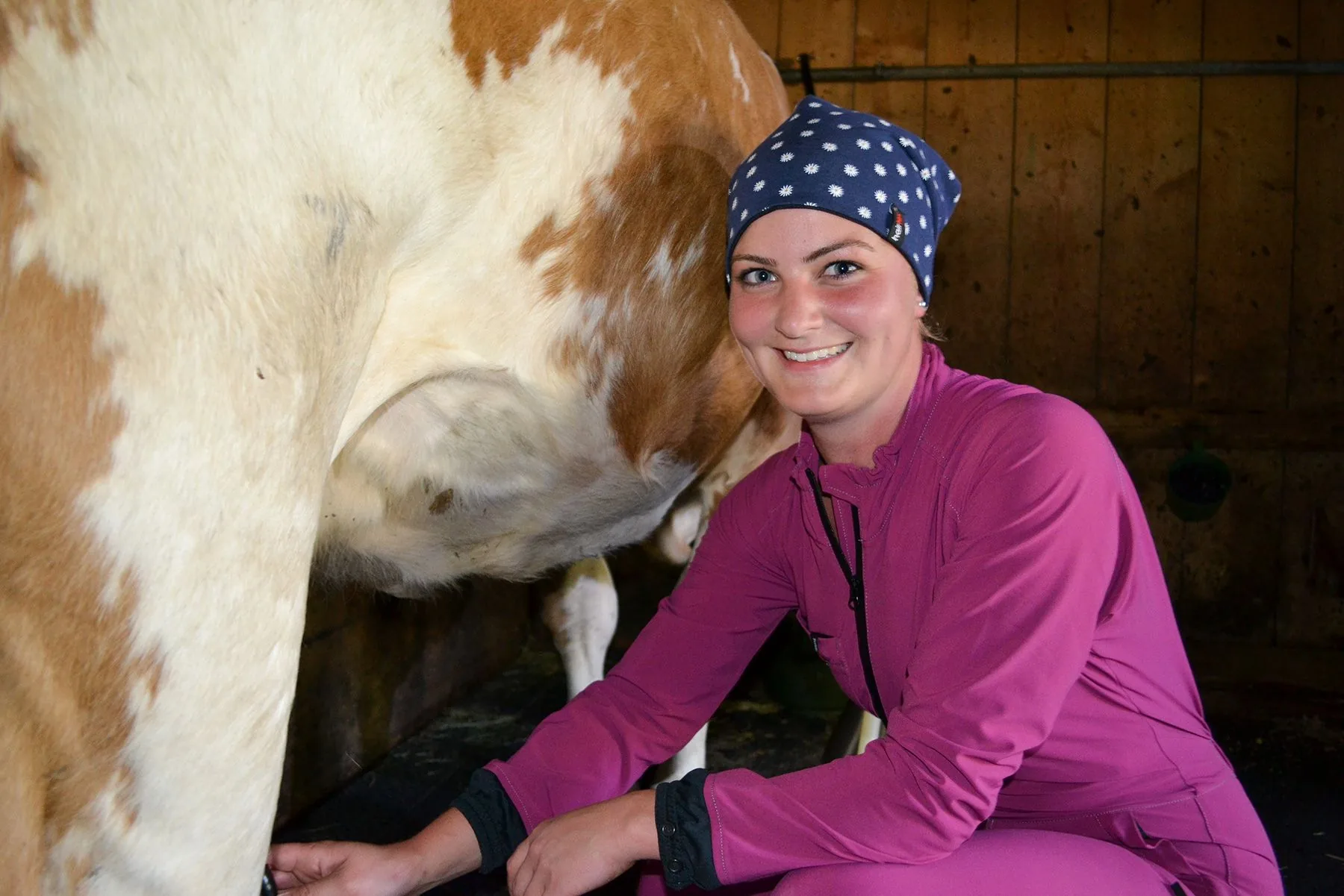 Frau mit Hairtex Stall-Beanie beim Melken einer Kuh