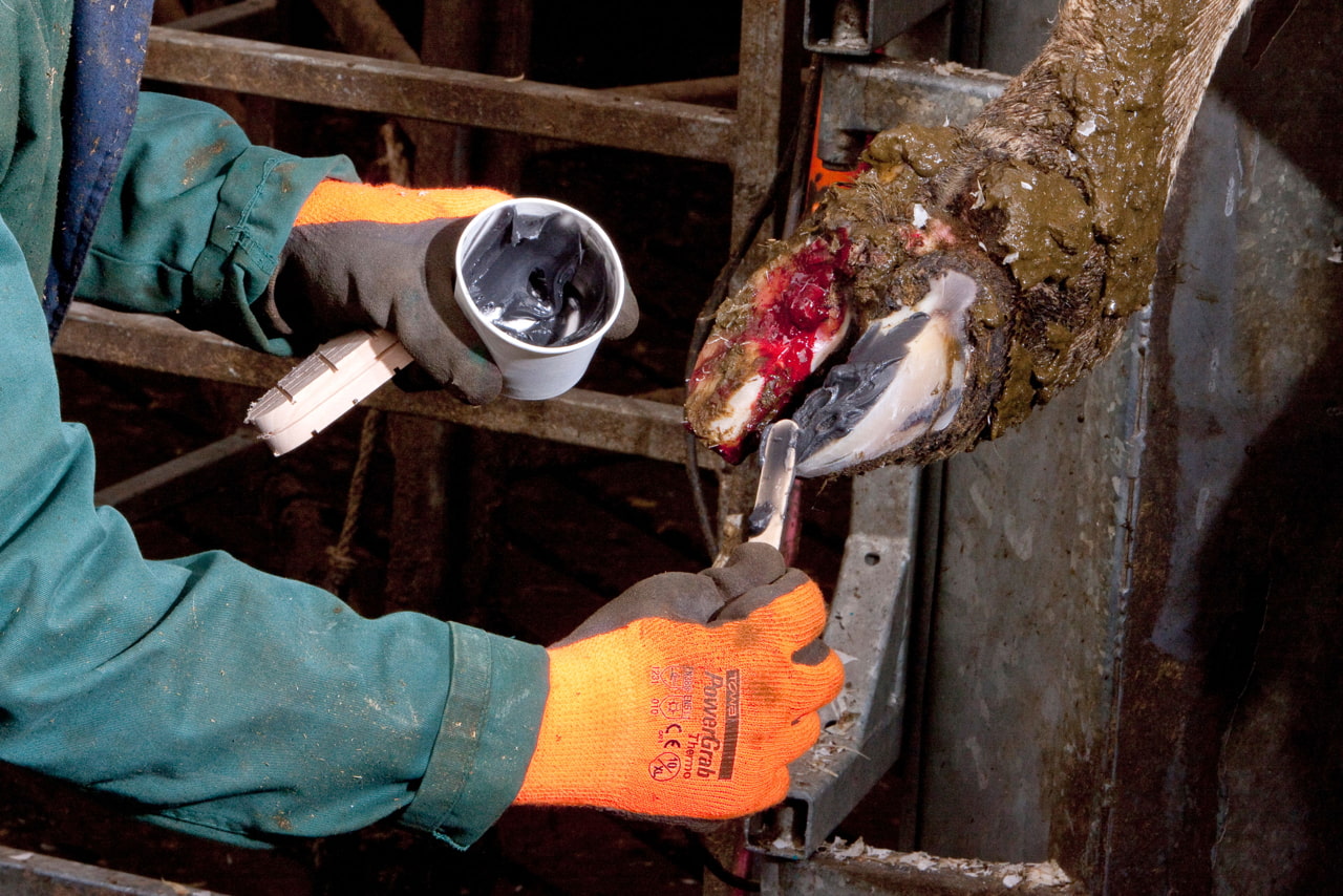 Technovit Klauenpflegeset von Kerbl 16122 inklusive Beschleuniger - Für Klauenbehandlung und Hufpflege bei Landwirten und Tierhaltern