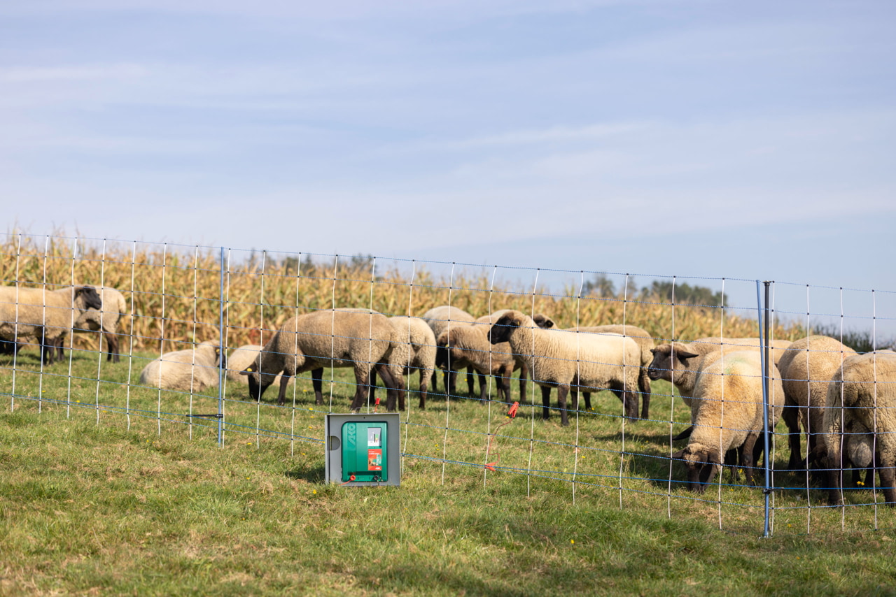 Kerbl Duo Power X 6000 smart – Effizientes und intelligentes Weidezaungerät für Landwirte und Tierhalter. Ideal für Pferde, Rinder und Schafe mit mittlerem bis starkem Bewuchs. Mit Anbindung an Cloud und App-Steuerung.
