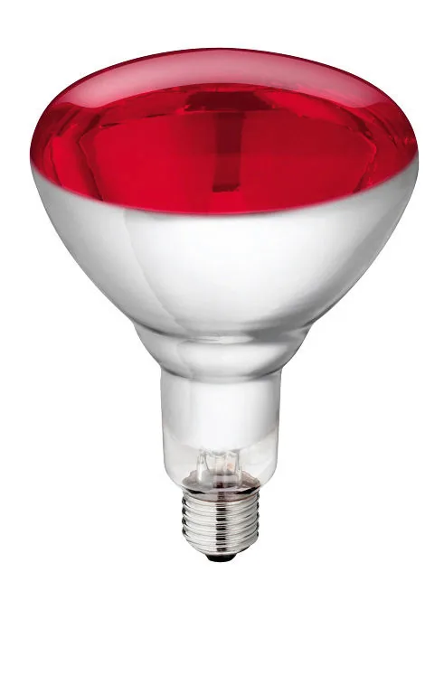 Philips Hartglas-Infrarotlampe 150 W mit rotem Reflektorglas und E27-Sockel