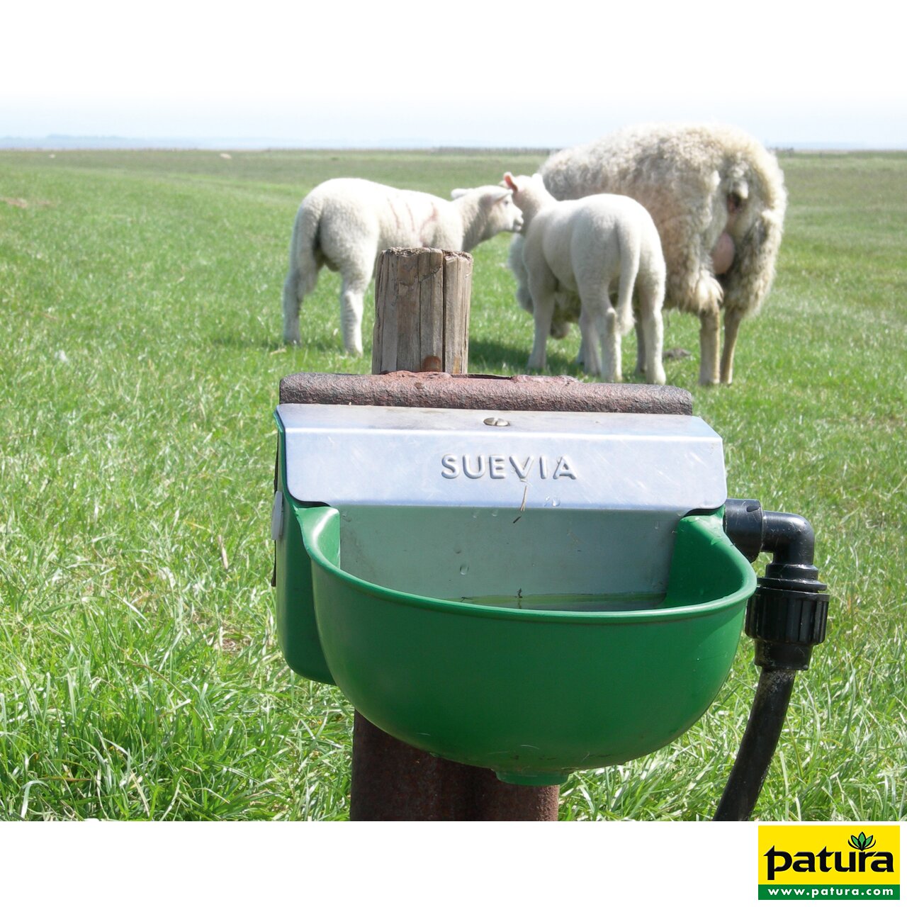 Patura Schwimmerventil-Becken Modell 130P, robust für Wasseranlagen