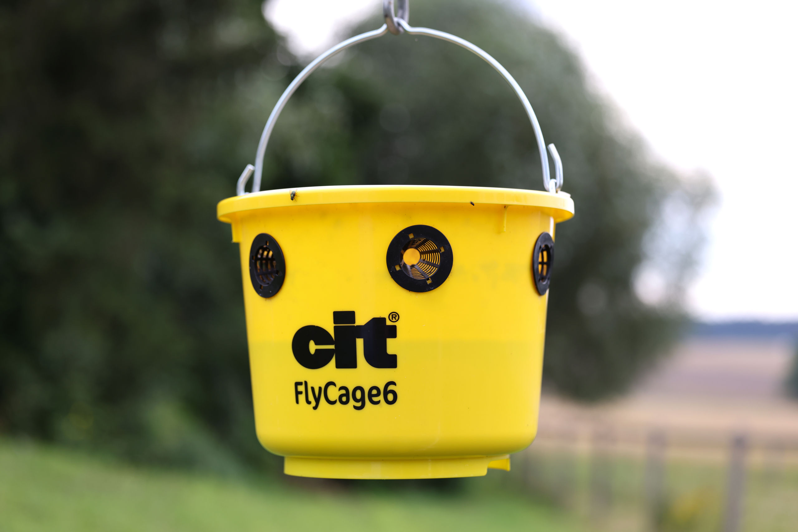 cit Fliegenfalle FlyCage6