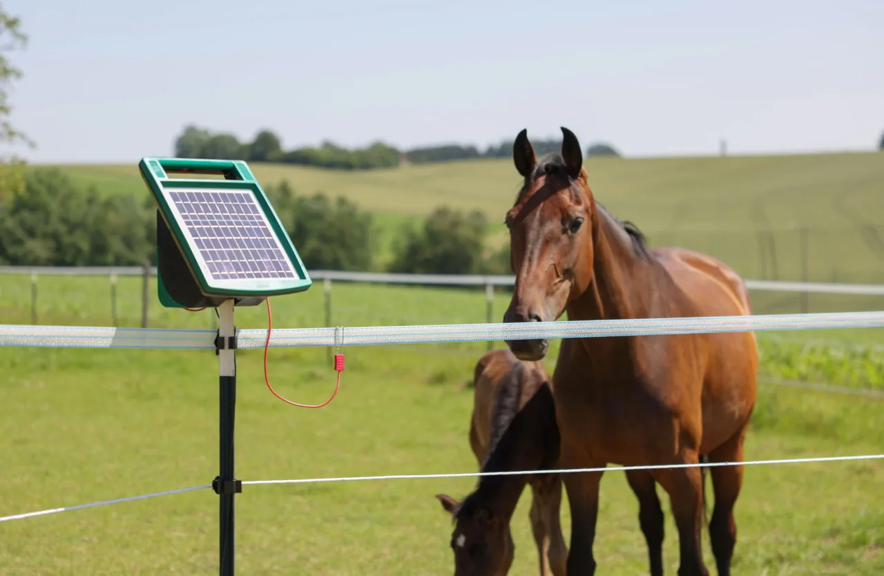 SunPower S1000 Solargerät am Pfosten vor Stute mit Fohlen