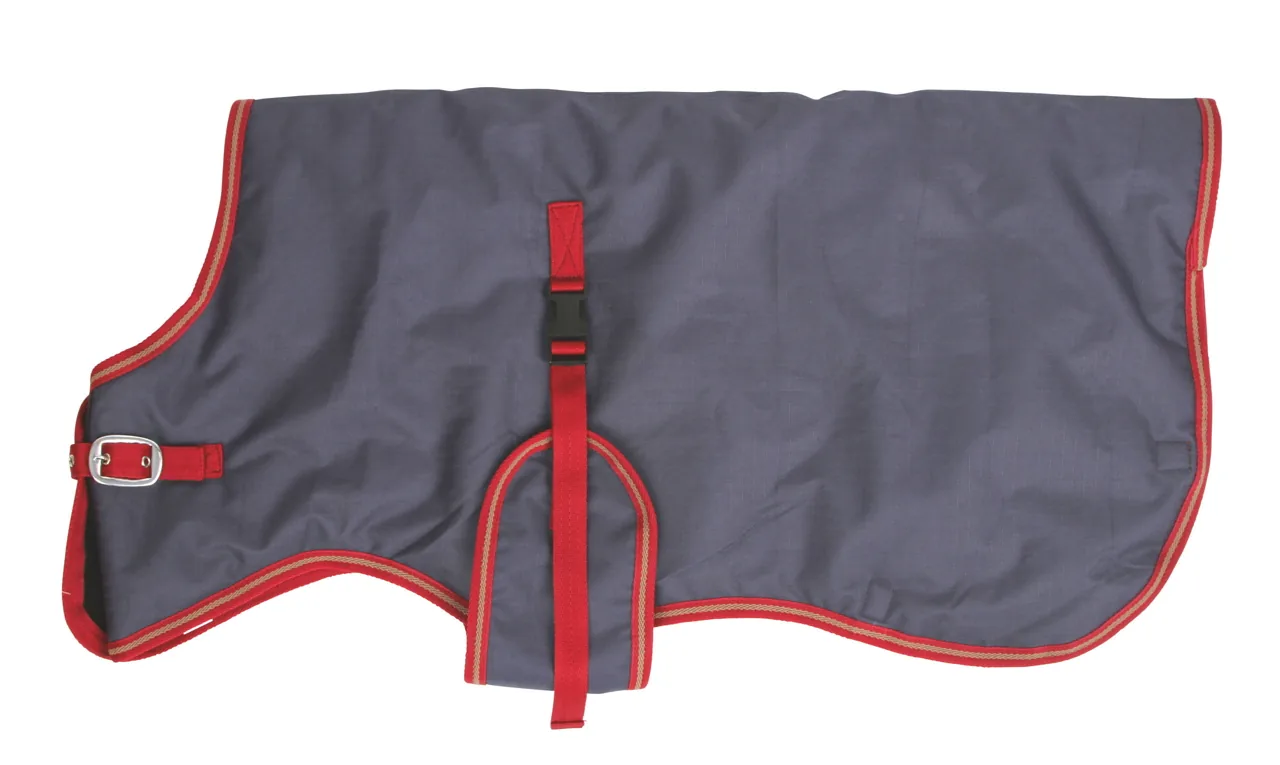 Kälberdecke ThermoPlus 70 cm in Grau mit roter Paspel, ausgebreitet freigestellt