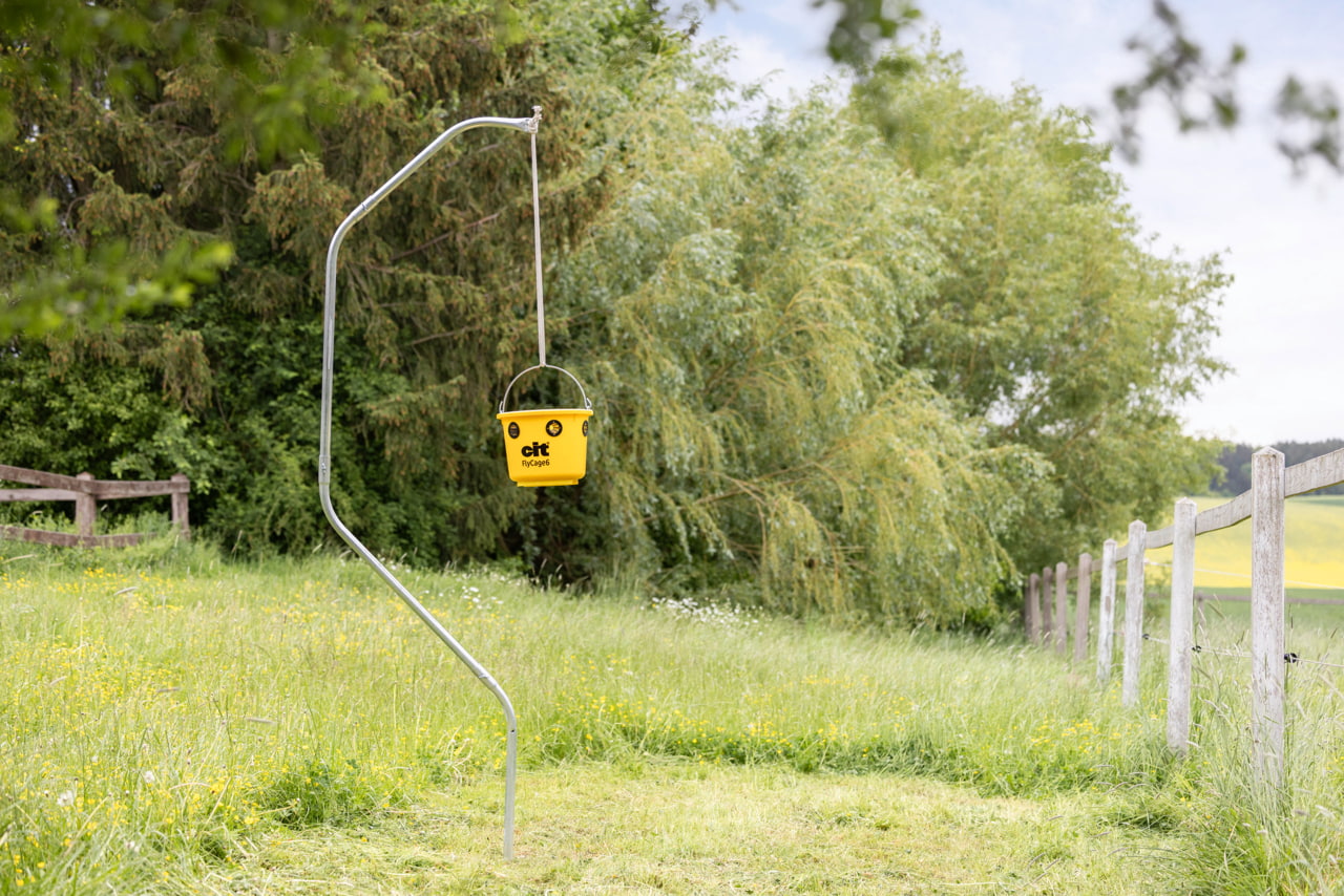 cit Fliegenfalle FlyCage6
