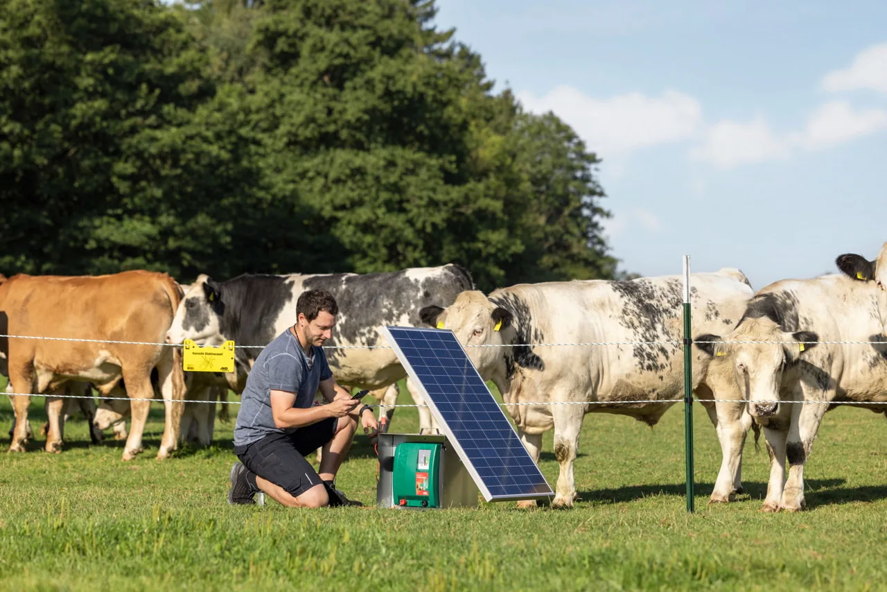 Mann kniet am Duo Power X 6000 mit Solarpanel und bedient das Gerät vor Rindern