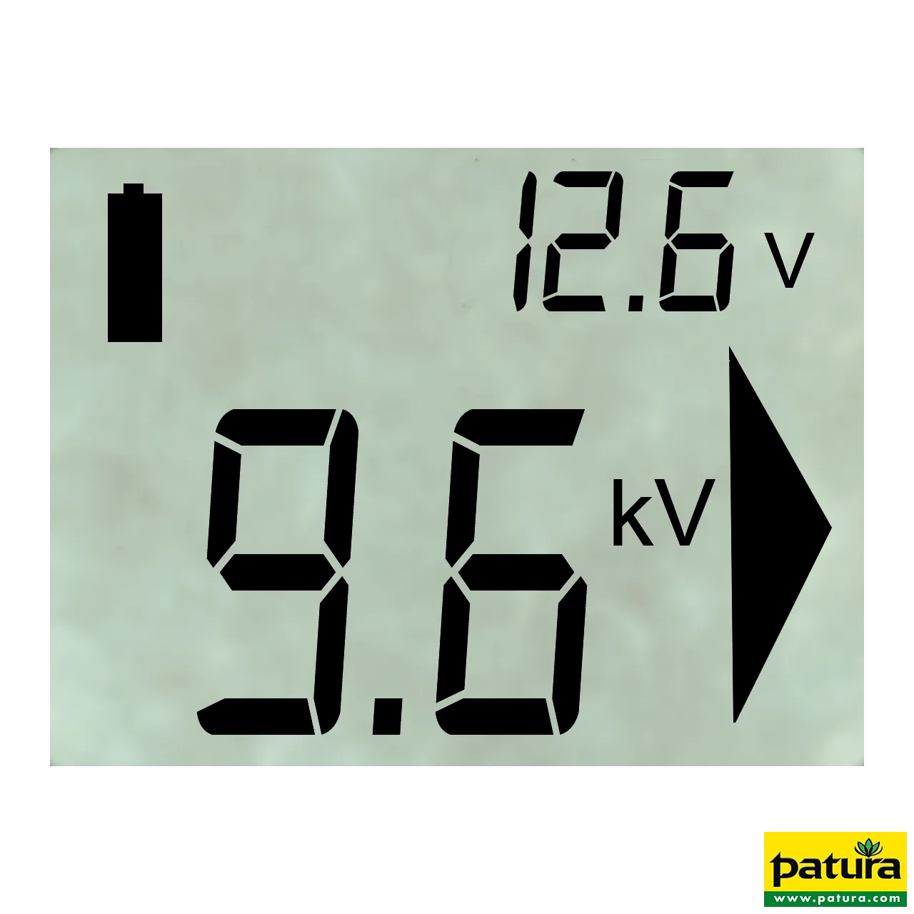 Display des Patura P6000 mit Zaunspannung und Batteriespannung
