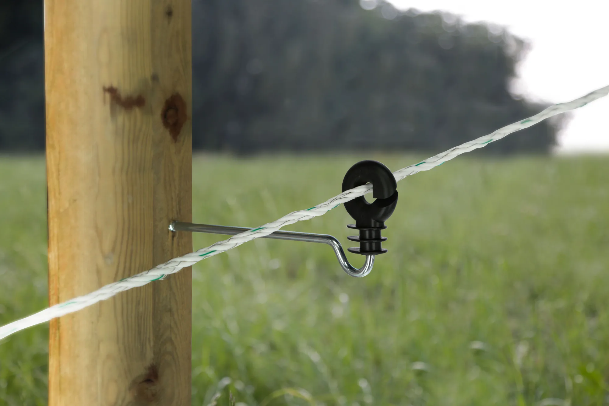 Langstiel-Ringisolator mit Seil am Holzpfosten auf der Weide
