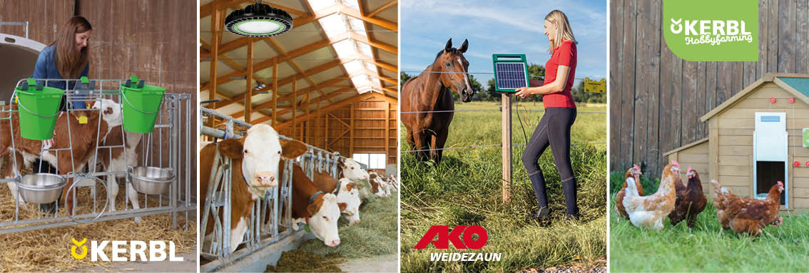 Kerbl fr Startseite Kühe im Stall mit Futterautomaten von KERBL