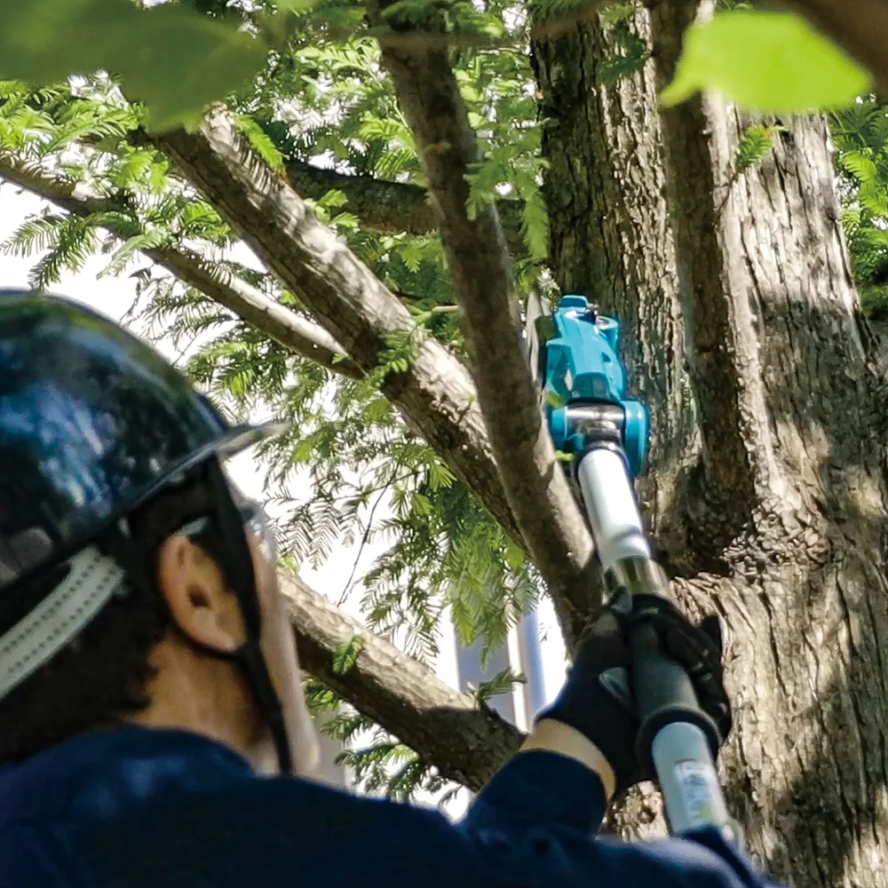 Anwender mit Helm entastet mit dem Makita DUA200Z Hochentaster einen hohen Baum