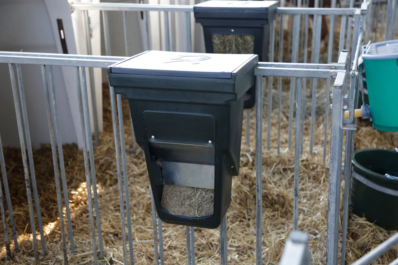 Kraftfutterbox am Gitter der Kälberhütte eingehängt