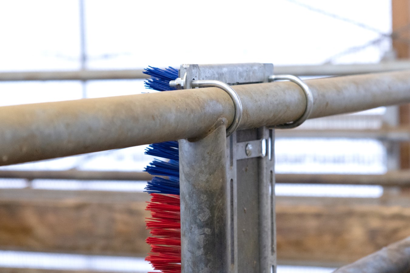 Kerbl Kratzbürste HAPPYCOW Bully | Robuste Kuhbürste für Rinder & Pferde