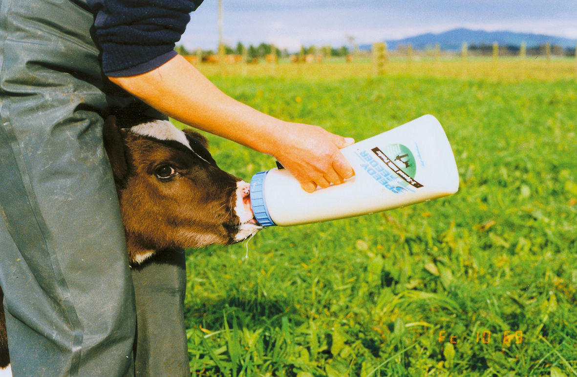Kerbl Speedy Feeder Kälberflasche 2,5 Liter - Praktische Tränkeflasche für die Aufzucht von Kälbern mit 3-Stufen-Ventil und ergonomischem Handgriff.