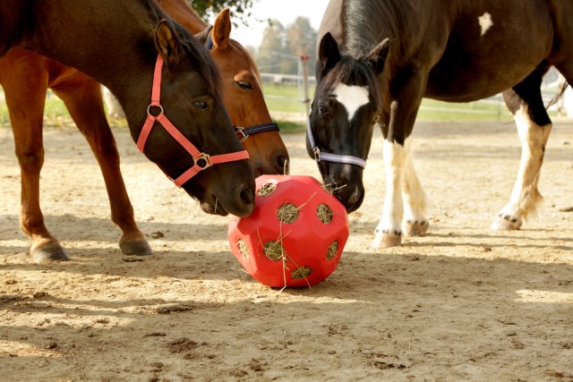 Kerbl Original Futterspielball 40 cm – Heuball 3 kg,19 Öffnungen,UV-fest für Pferde & Ponys
