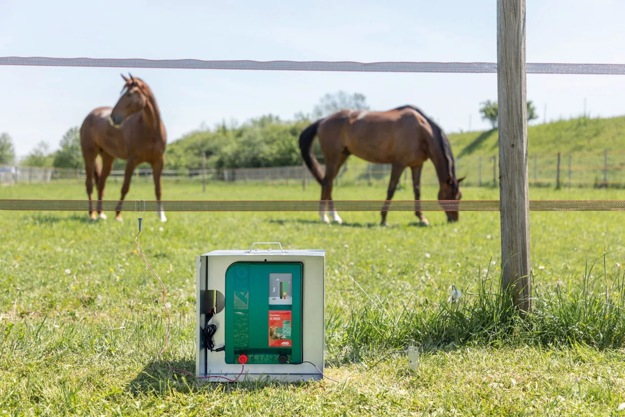 Duo Power Xi 8000 im Schutzkasten am Pfosten, zwei Pferde