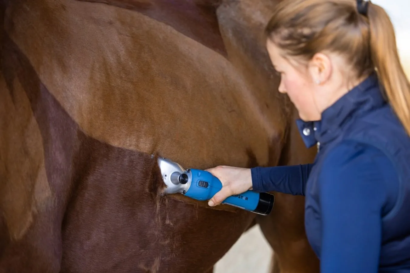 Frau schert ein Pferd am Bauch mit der FarmClipper Akku2