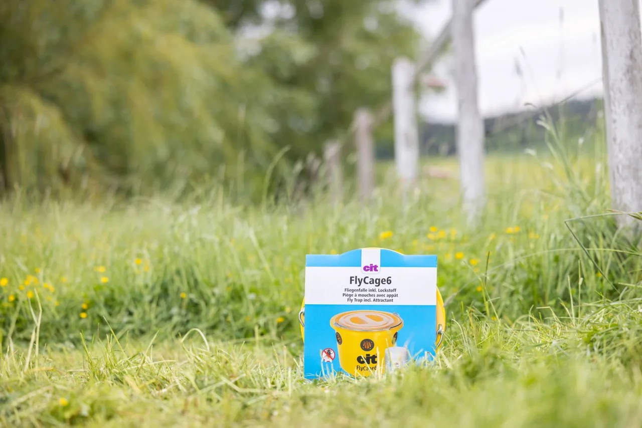 Verpackung der cit FlyCage6 Fliegenfalle auf einer Wiese