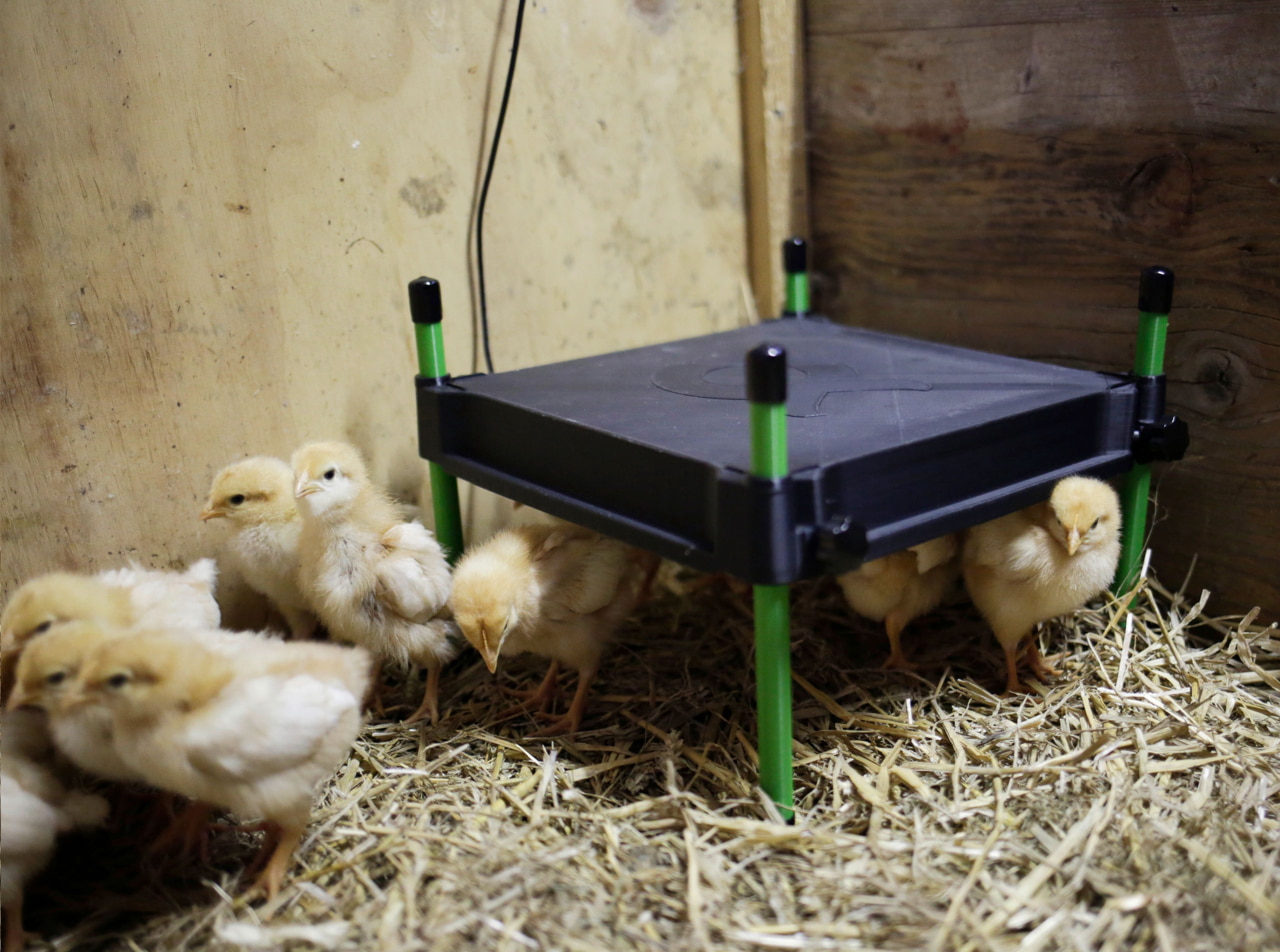 Kerbl Wärmeplatte CosyHeat 30x30 cm - Energiesparende Heizung für Küken, mit integriertem Thermostat, ideal für Landwirte und Tierhalter. Kerbl Wärmeplatte CosyHeat 30x30 cm - Energiesparende Heizung für Küken, mit integriertem Thermostat, ideal für Landwirte und Tierhalter.