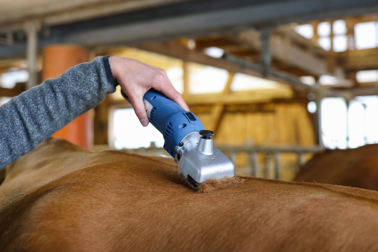Kerbl FarmClipper Akku2 – Kabellose Schermaschine für Rinder und Pferde – Stark und Effizient für den Tierhalter