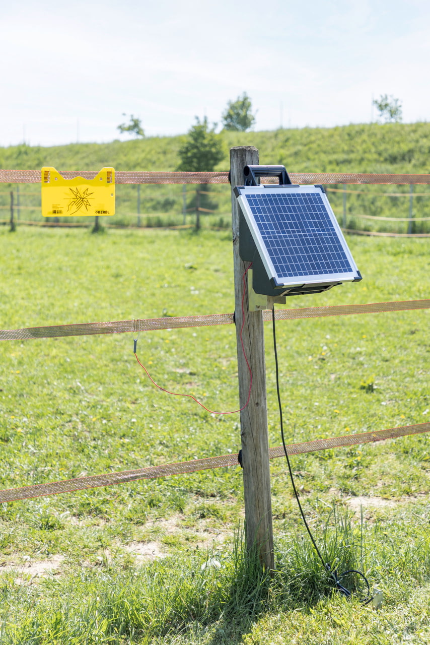 Kerbl Sun Power S 1500 Solargerät - Leistungsstarkes Solargerät für Weidezäune, ideal für Pferde- und Rinderweiden mit wenig Bewuchs.