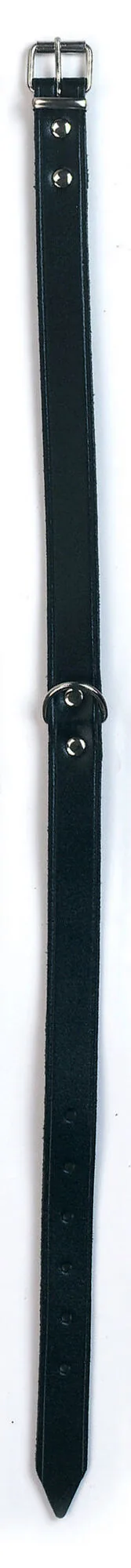 Kerbl Mexica Halsband aus schwarzem Leder mit Schnalle