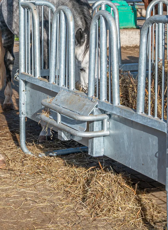 Compact-Viereckraufe mit Sicherheits-Palisadenfressgittern, Pferd frisst Heu im Stall