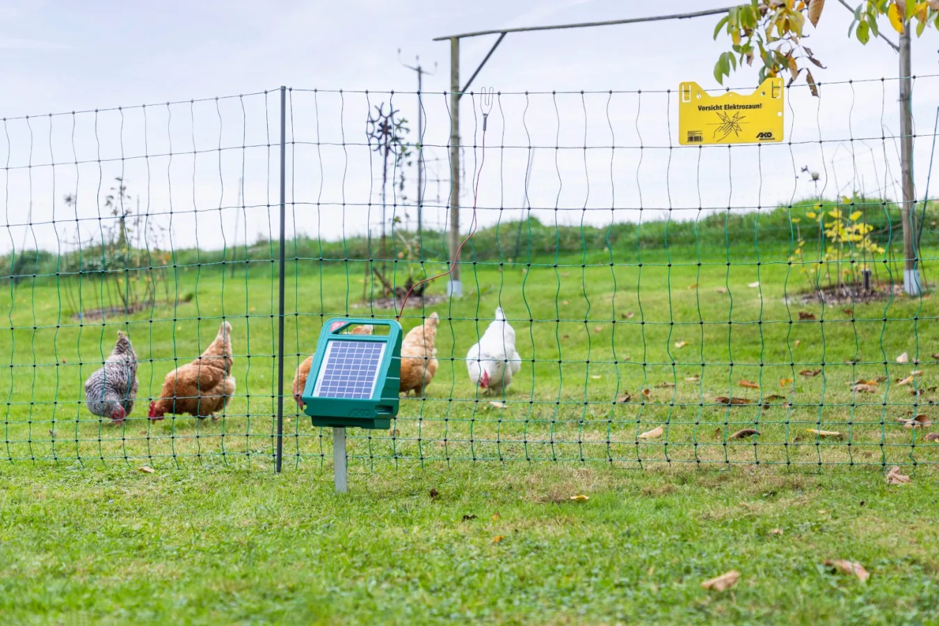 AKO-Geflügelnetz mit Solar-Weidezaungerät und Hühnern auf der Weide