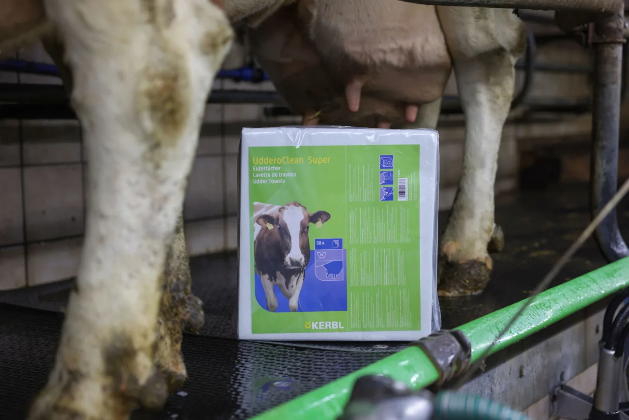 Verpackung UdderoClean Eutertuch auf dem Boden des Melkstands neben einer Kuh