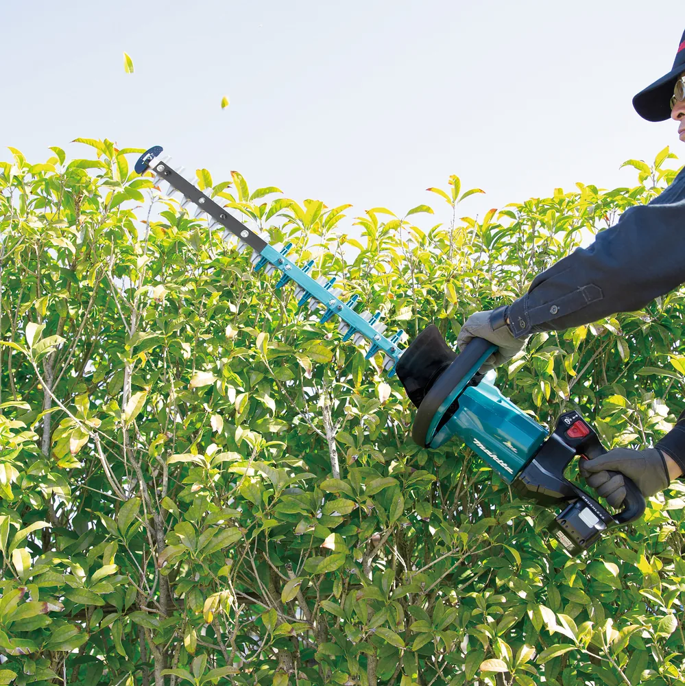 Makita DUH601Z Akku-Heckenschere im Einsatz beim Schneiden einer Hecke