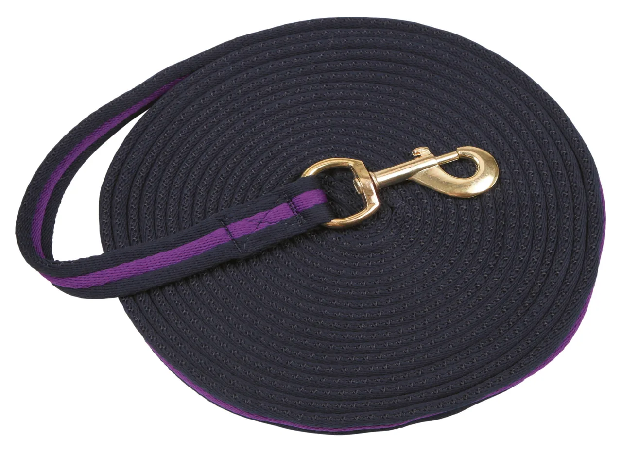 Kerbl Longierleine 8 m in Blau-Violett, weiches Gewebe mit Drehkarabiner und Handschlaufe