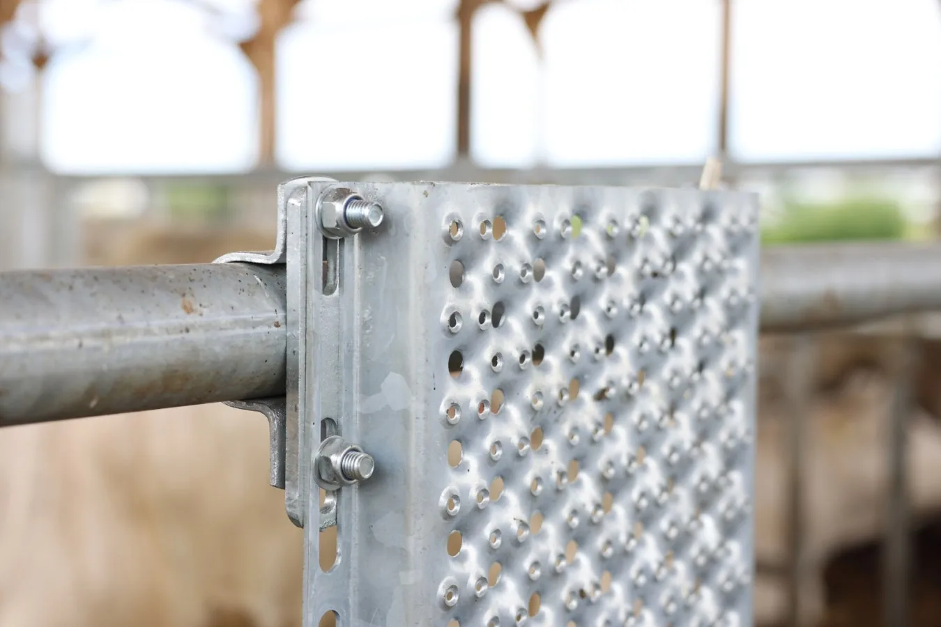 Kerbl Kratzblech aus verzinktem Metall an einem Stallgitter