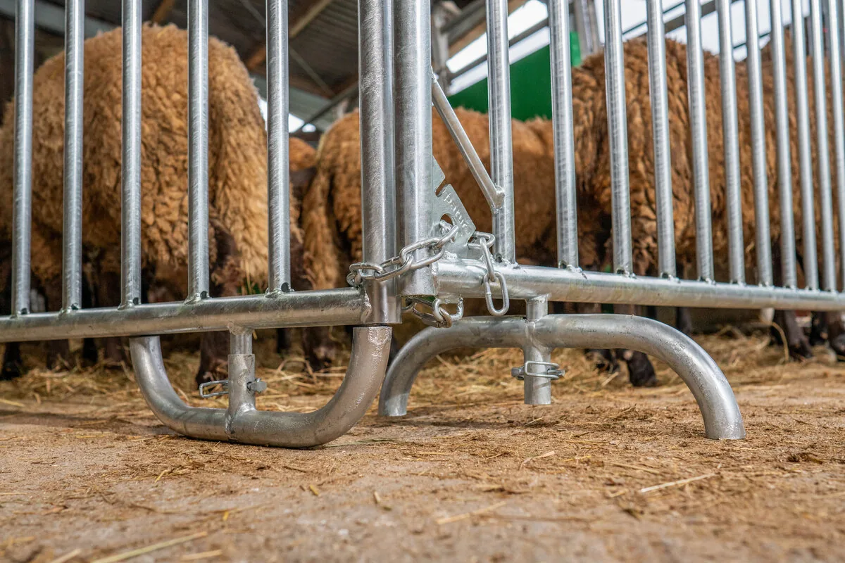 Absperrgitter Duofix im Stalleinsatz mit Bodenverankerung vor Schafen