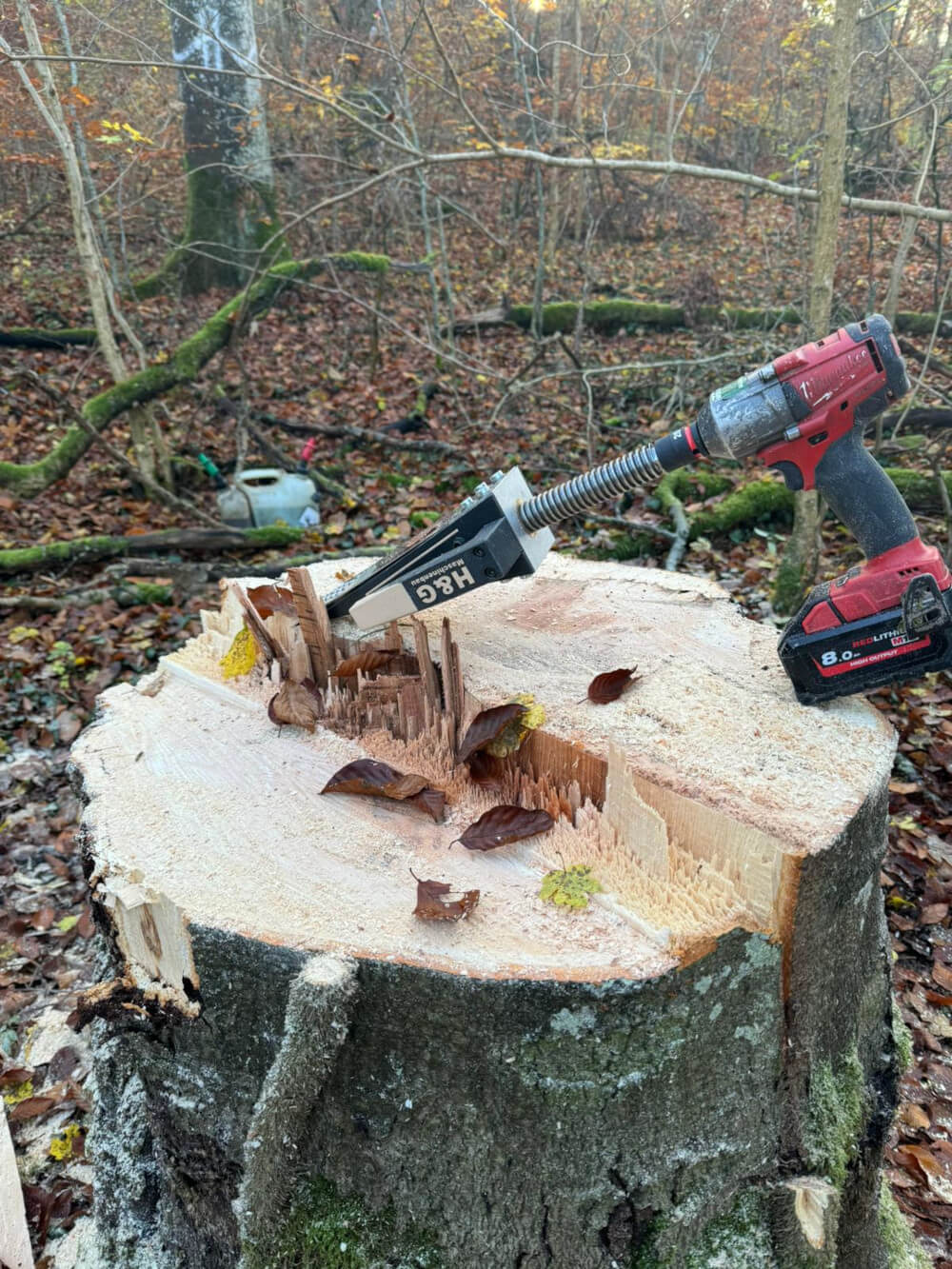 H&G X6030 Spindelkeil steht mit einem Schlagbohrer auf einem Baumstumpf