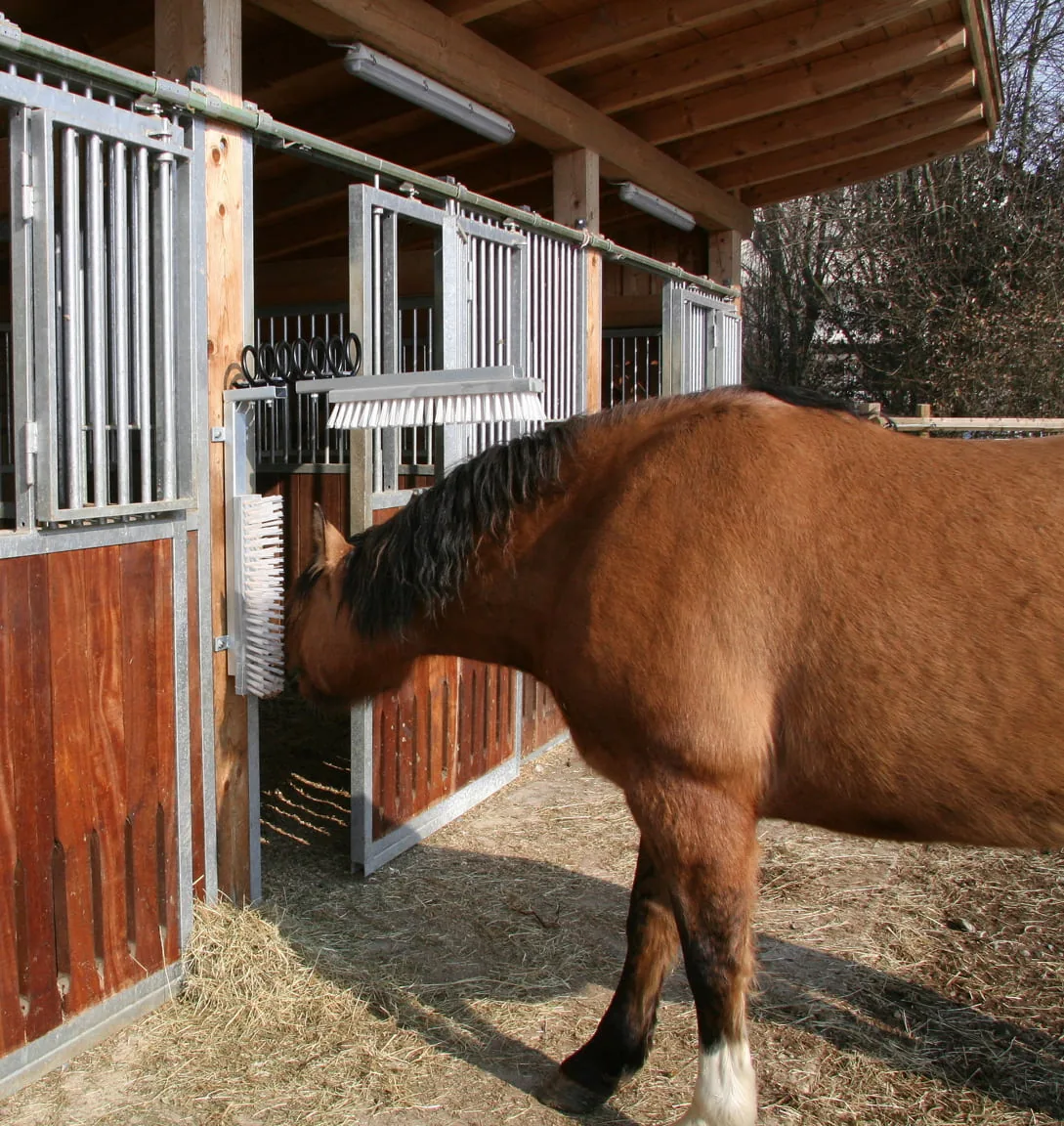Pferd scheuert sich an der TEXAS-Viehbürste, andere Ansicht
