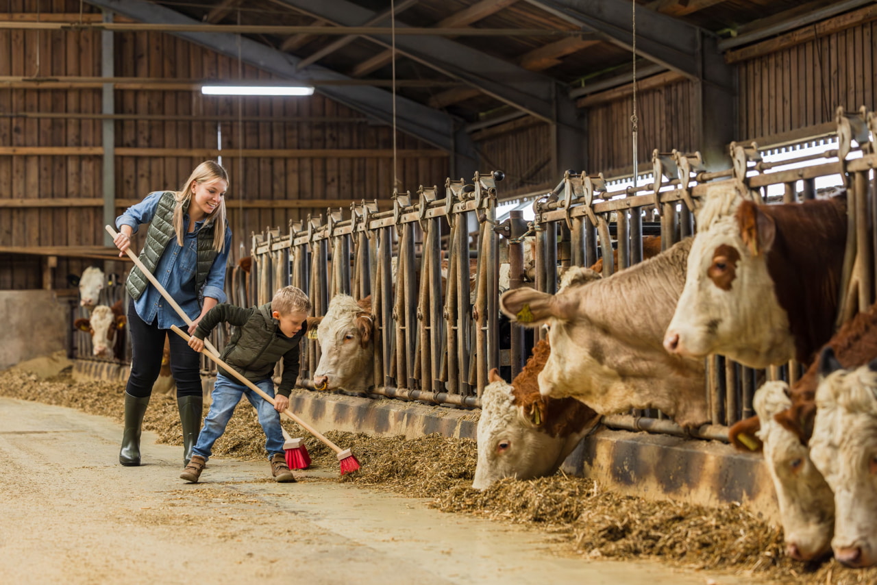 Kerbl Straßenbesen 42 cm Breit - Robust für Landwirtschaft und Tierhaltung mit kräftigen roten Elastanborsten und verstärktem Holzrücken