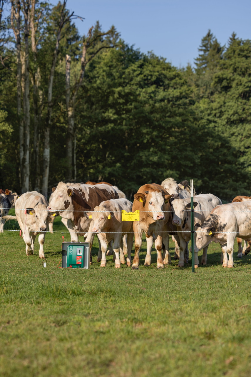 AKO Duo Power Xi 8000 Weidezaungerät von Kerbl - Leistungsstarkes und flexibles Zaungerät für Landwirte und Tierhalter, ideal für die extensive Weideüberwachung von Pferden, Bullen und Schafen sowie zur Wildschwein- und Wolfsabwehr.