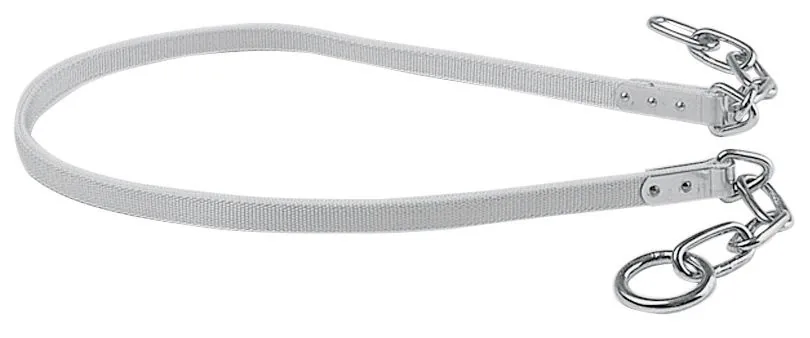 Kerbl Rinderanbindung aus weißem Gurtband, doppelt genäht mit Metallkauschen, 180 cm