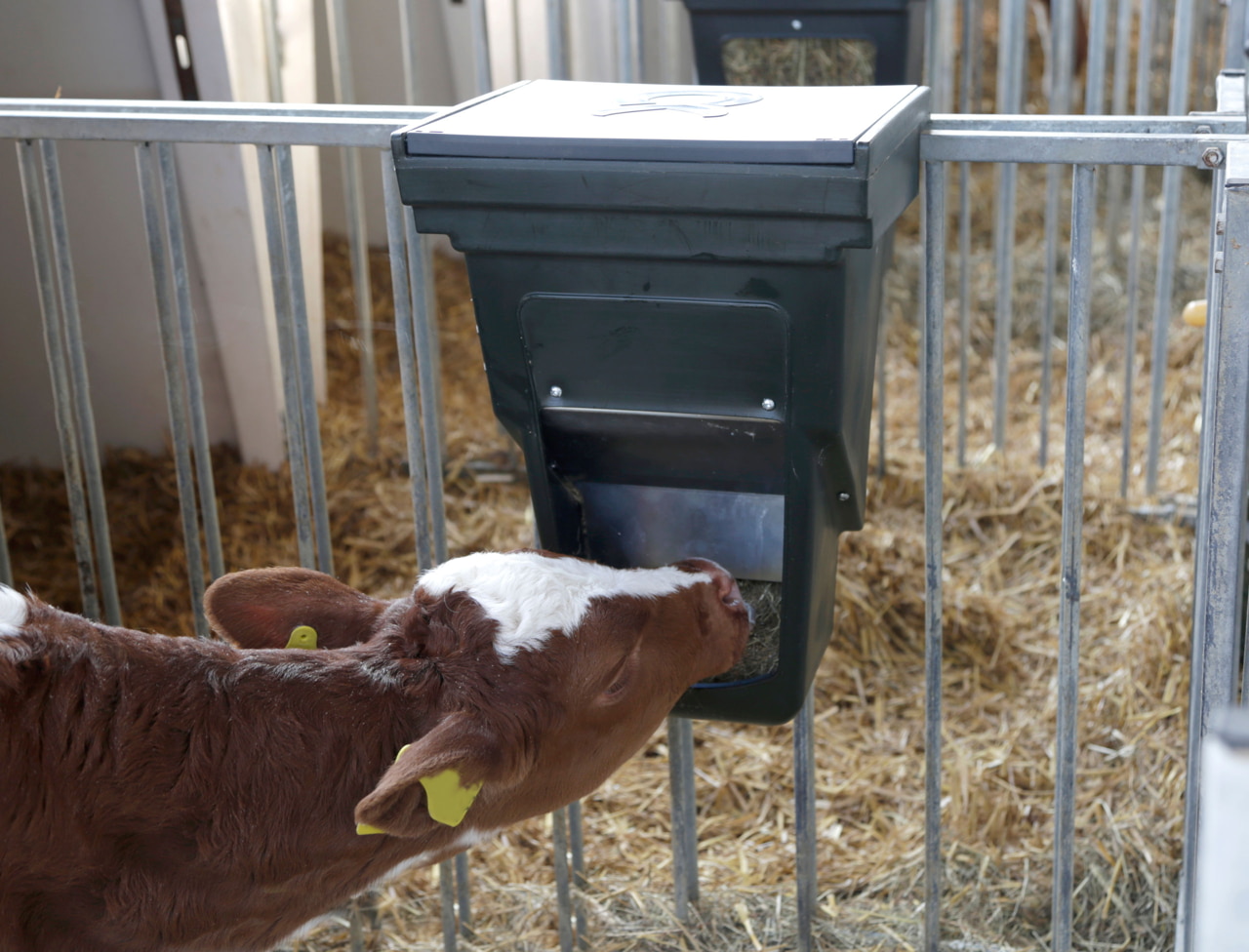 Kerbl Kraftfutterbox klein für Kälberhüttenumzäunung 144353 - Ideal für Einzelkälberhütten, innen am Zaun einhängbar, einfache Befüllung von außen, wettergeschützt, stabil aus Kunststoff. Kerbl Kraftfutterbox klein für Kälberhüttenumzäunung 144353 - Ideal für Einzelkälberhütten, innen am Zaun einhängbar, einfache Befüllung von außen, wettergeschützt, stabil aus Kunststoff.