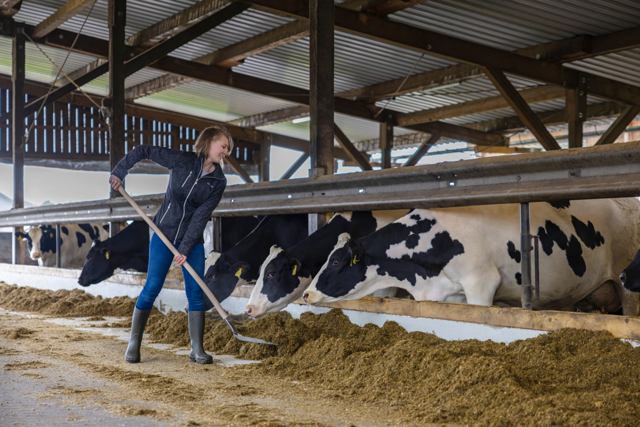 PROFI Spezial-Alu-Schaufel Größe 9 mit Kante - Robust für Landwirte und Tierhalter