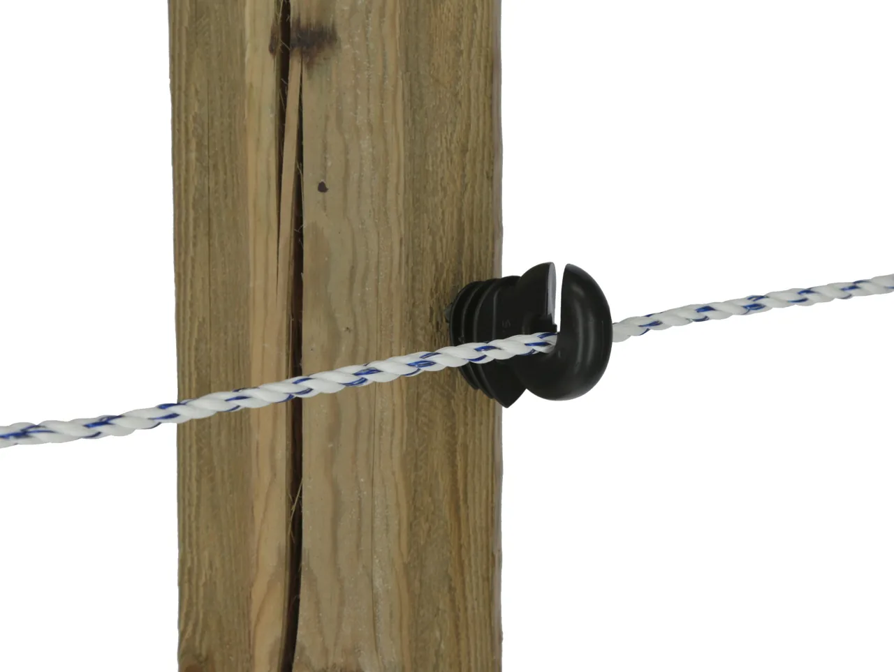 Kerbl Weidezaunlitze Premium Light 6 mm weiß-blau, durch Ringisolator an Holzpfahl geführt