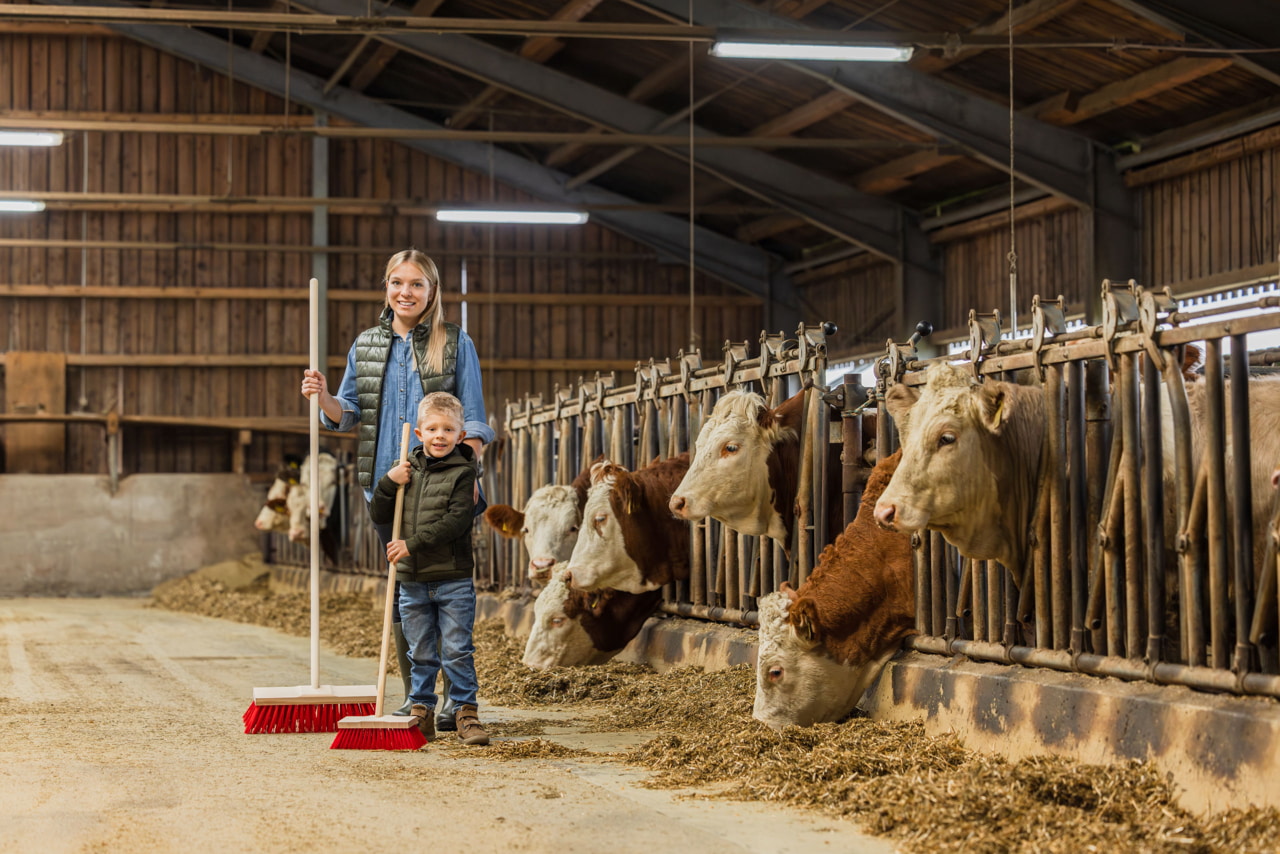 Kerbl Straßenbesen 42 cm Breit - Robust für Landwirtschaft und Tierhaltung mit kräftigen roten Elastanborsten und verstärktem Holzrücken