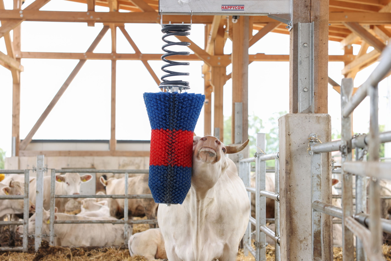 Kerbl HAPPYCOW FlexiSwing Viehbürste – Pendelbürste für Rinder und Pferde zur Fellpflege und Beschäftigung Kerbl HAPPYCOW FlexiSwing Viehbürste – Pendelbürste für Rinder und Pferde zur Fellpflege und Beschäftigung