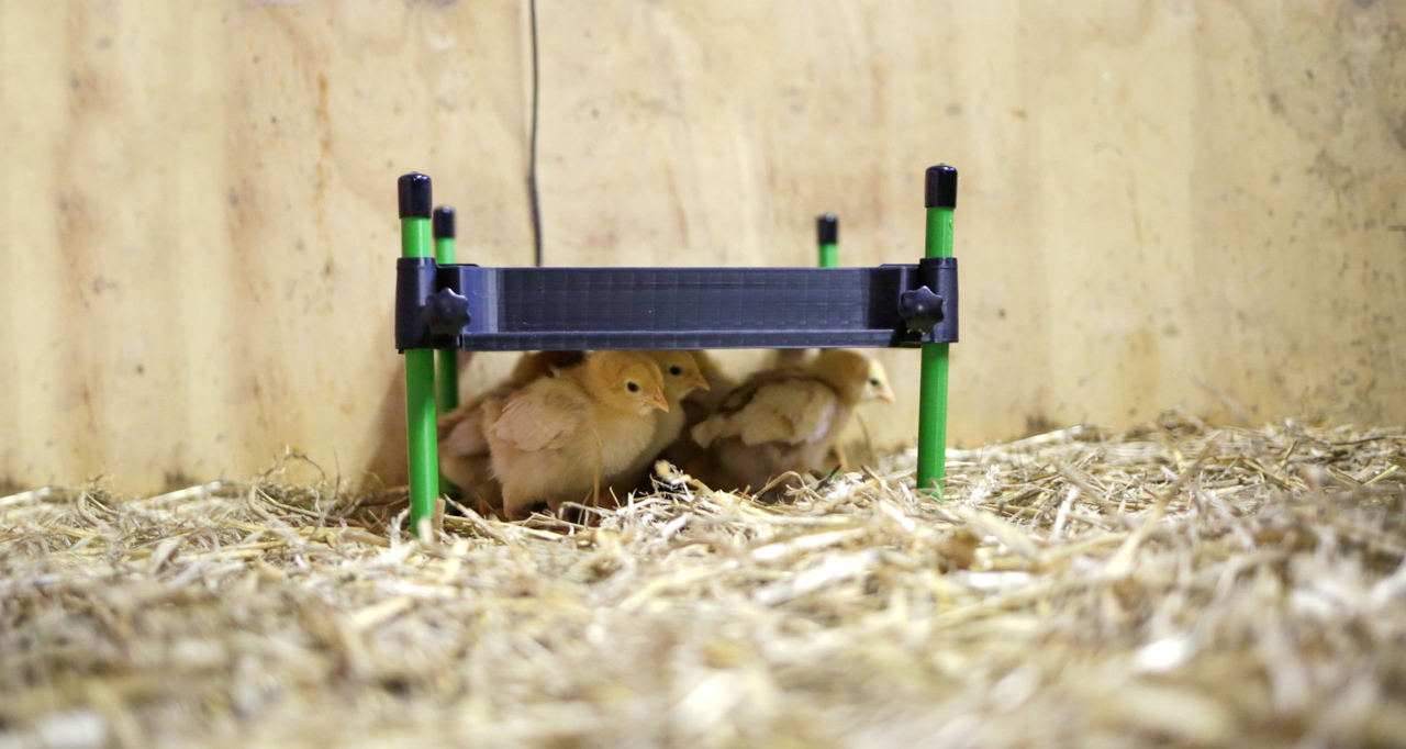 Kerbl Wärmeplatte CosyHeat 30x30 cm - Energiesparende Heizung für Küken, mit integriertem Thermostat, ideal für Landwirte und Tierhalter.