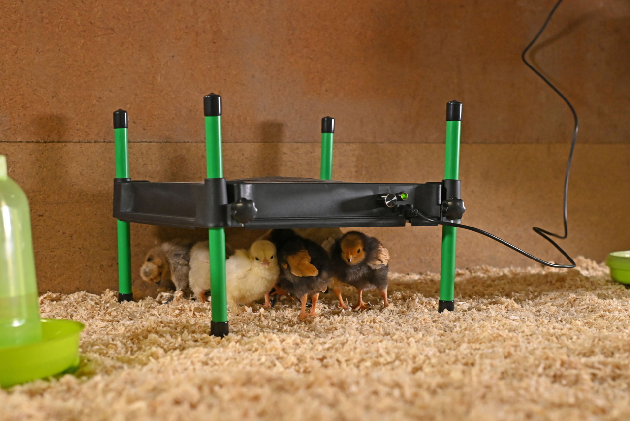 Kerbl Wärmeplatte CosyHeat 30x30 cm - Energiesparende Heizung für Küken, mit integriertem Thermostat, ideal für Landwirte und Tierhalter.