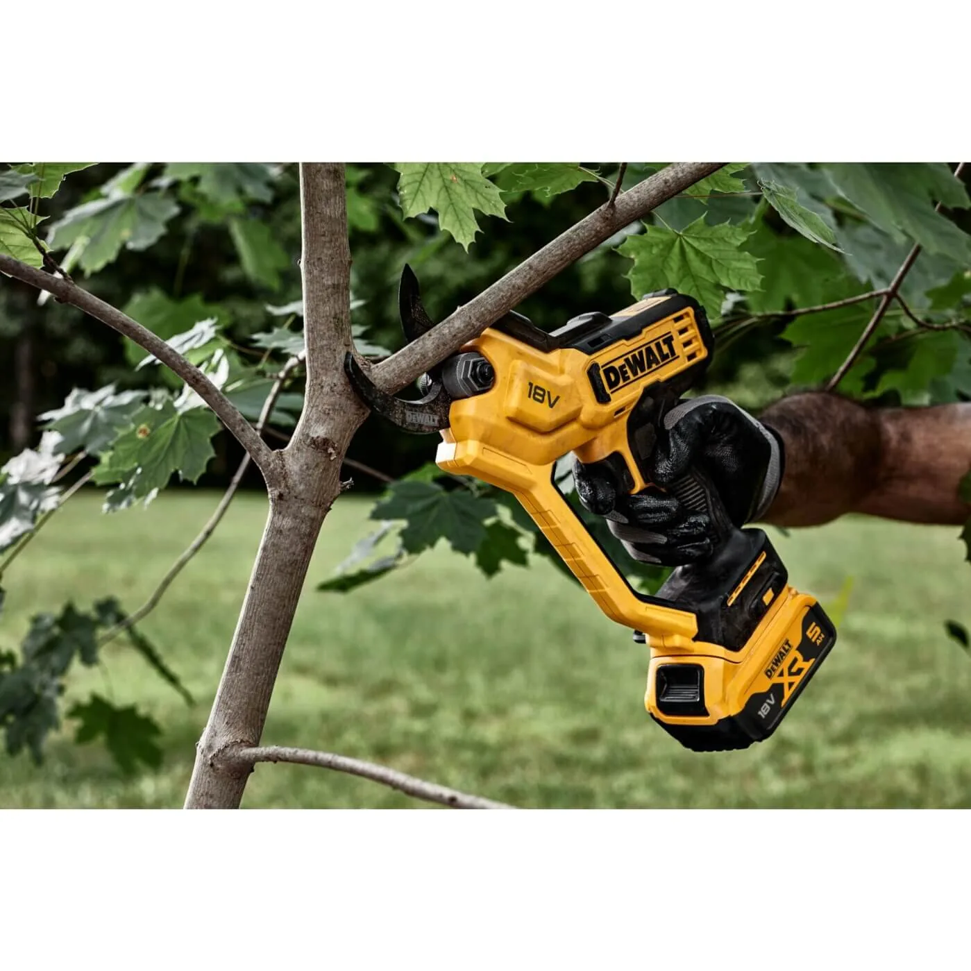 DeWalt DCMPP568N Akku-Astschere am Ast, Nahaufnahme